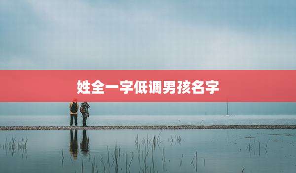 姓全一字低调男孩名字