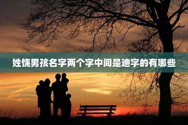 姓饶男孩名字两个字中间是迪字的有哪些