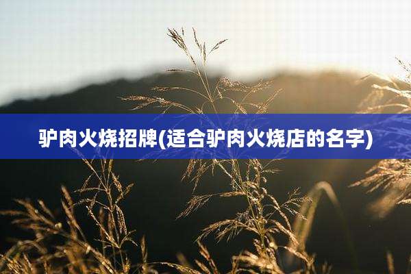 驴肉火烧招牌(适合驴肉火烧店的名字)