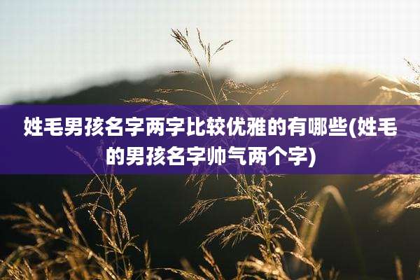 姓毛男孩名字两字比较优雅的有哪些(姓毛的男孩名字帅气两个字)