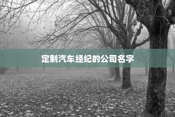定制汽车经纪的公司名字