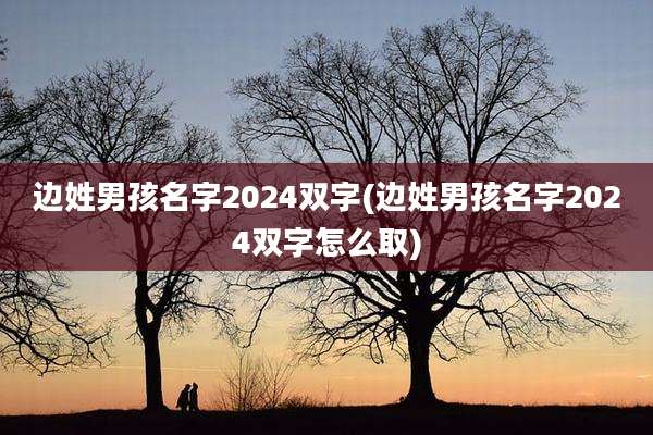 边姓男孩名字2024双字(边姓男孩名字2024双字怎么取)