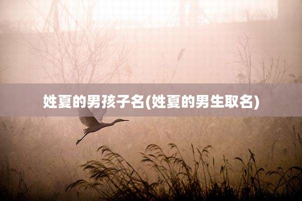 姓夏的男孩子名(姓夏的男生取名)