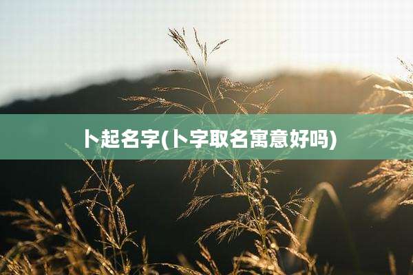 卜起名字(卜字取名寓意好吗)