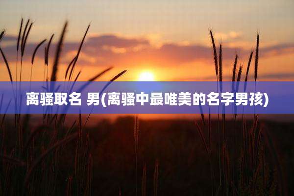 离骚取名 男(离骚中最唯美的名字男孩)