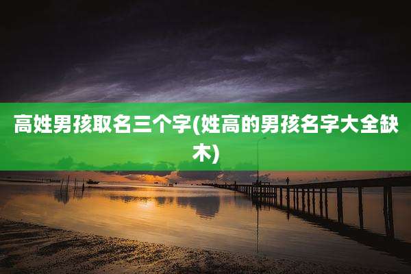 高姓男孩取名三个字(姓高的男孩名字大全缺木)