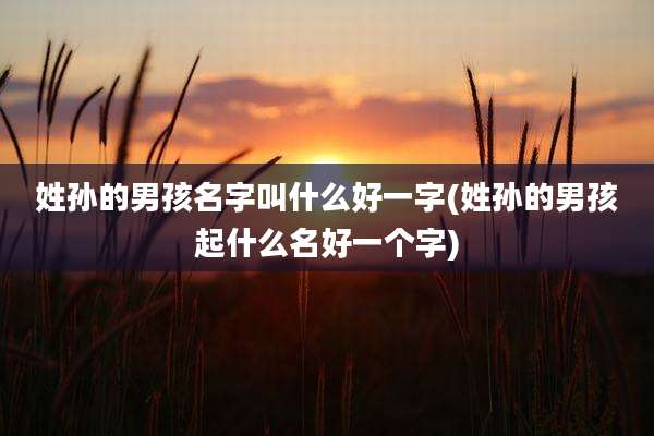 姓孙的男孩名字叫什么好一字(姓孙的男孩起什么名好一个字)