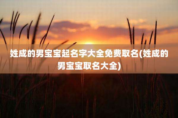 姓成的男宝宝起名字大全免费取名(姓成的男宝宝取名大全)