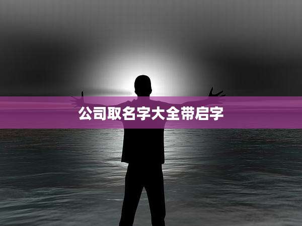 公司取名字大全带启字