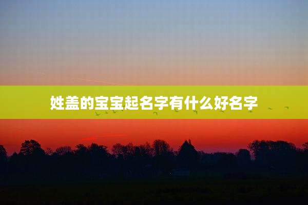 姓盖的宝宝起名字有什么好名字