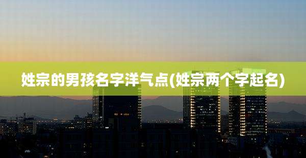 姓宗的男孩名字洋气点(姓宗两个字起名)