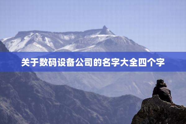 关于数码设备公司的名字大全四个字