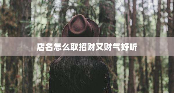 店名怎么取招财又财气好听