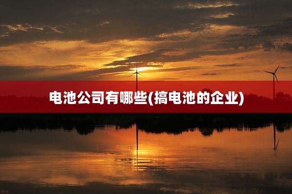 电池公司有哪些(搞电池的企业)