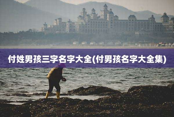 付姓男孩三字名字大全(付男孩名字大全集)