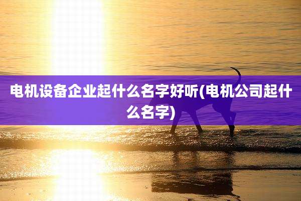 电机设备企业起什么名字好听(电机公司起什么名字)