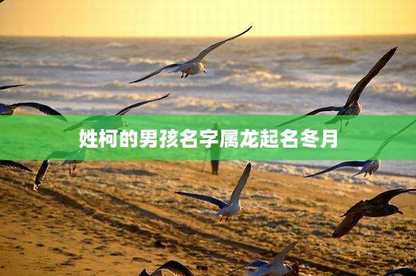 姓柯的男孩名字属龙起名冬月