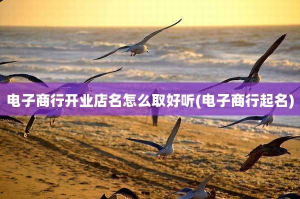 电子商行开业店名怎么取好听(电子商行起名)