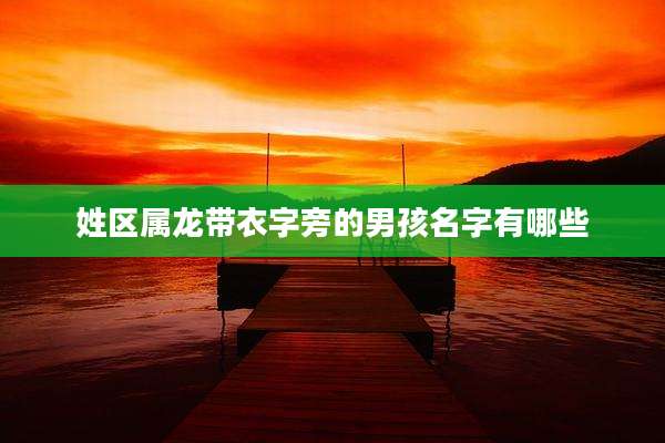 姓区属龙带衣字旁的男孩名字有哪些