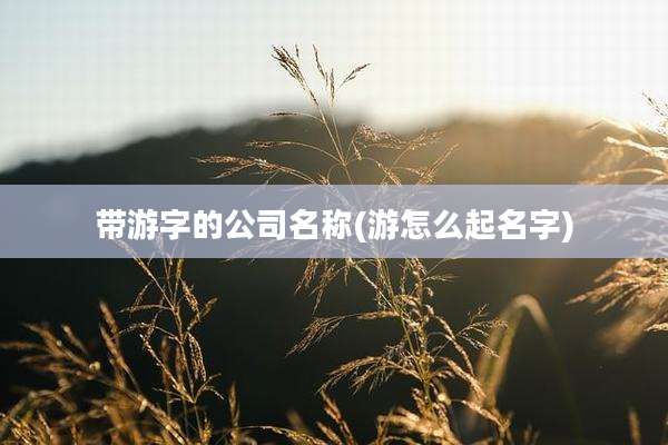 带游字的公司名称(游怎么起名字)