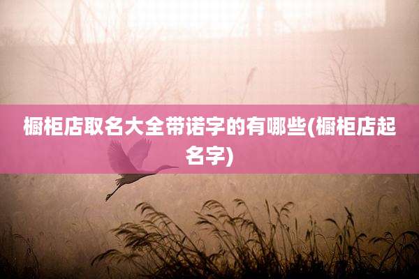 橱柜店取名大全带诺字的有哪些(橱柜店起名字)