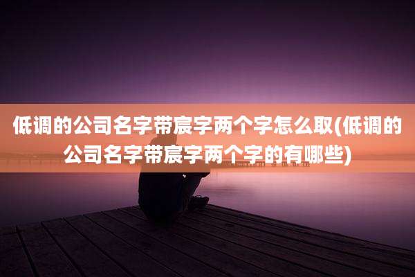 低调的公司名字带宸字两个字怎么取(低调的公司名字带宸字两个字的有哪些)
