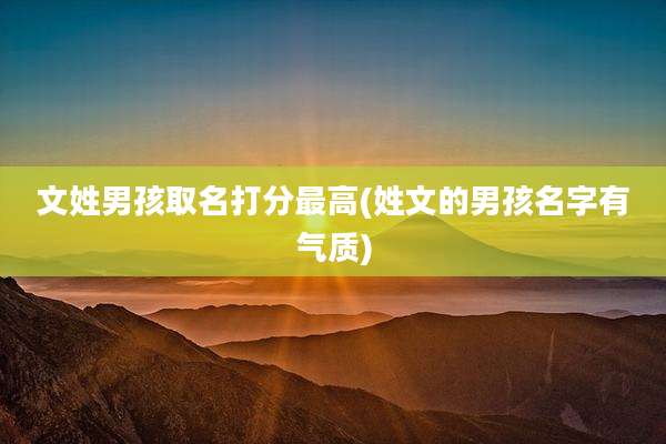文姓男孩取名打分最高(姓文的男孩名字有气质)