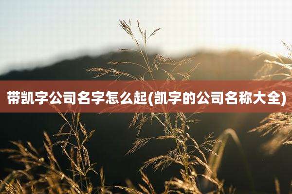 带凯字公司名字怎么起(凯字的公司名称大全)
