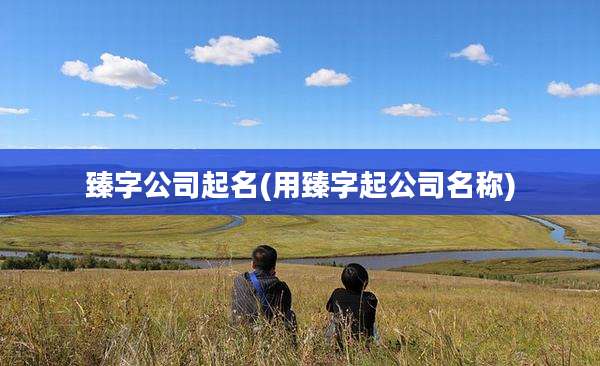臻字公司起名(用臻字起公司名称)