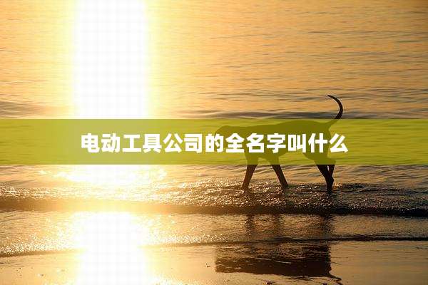 电动工具公司的全名字叫什么