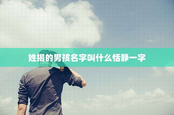 姓揭的男孩名字叫什么恬静一字