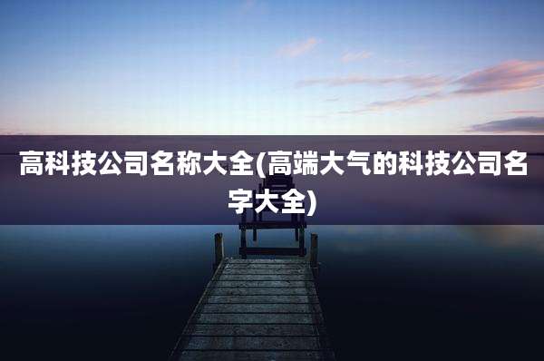高科技公司名称大全(高端大气的科技公司名字大全)