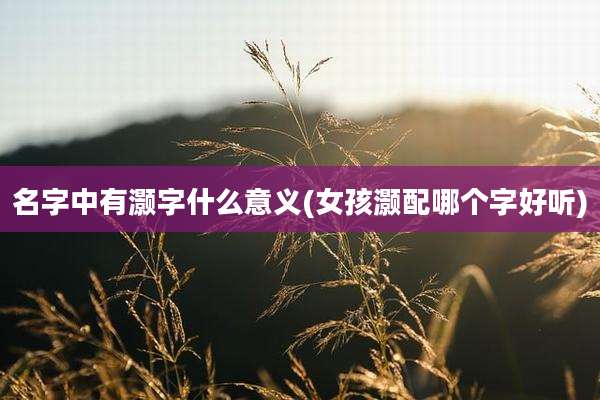 名字中有灏字什么意义(女孩灏配哪个字好听)