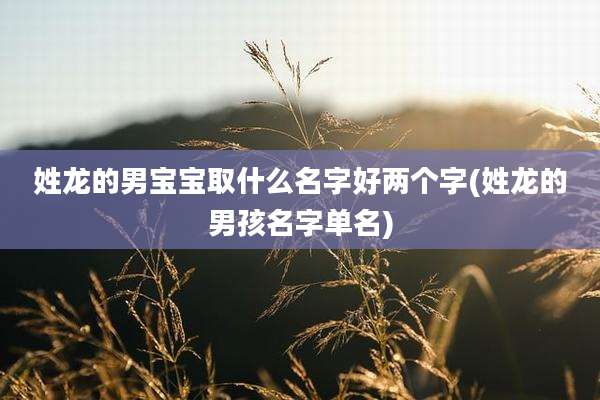 姓龙的男宝宝取什么名字好两个字(姓龙的男孩名字单名)