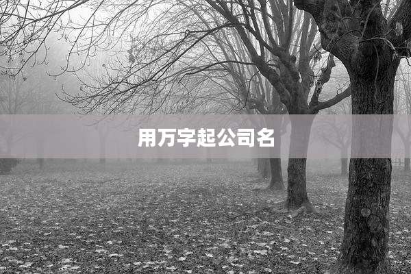 用万字起公司名