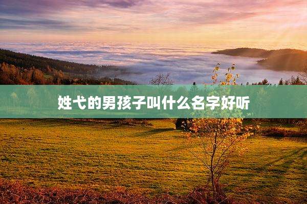 姓弋的男孩子叫什么名字好听