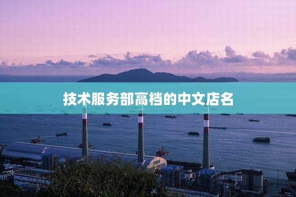 技术服务部高档的中文店名