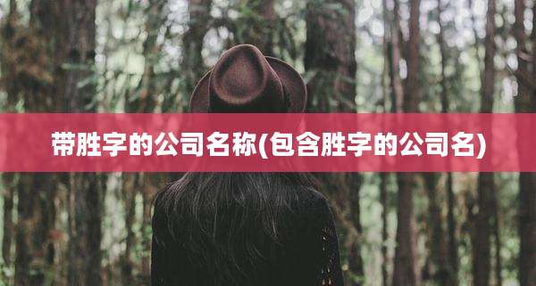 带胜字的公司名称(包含胜字的公司名)