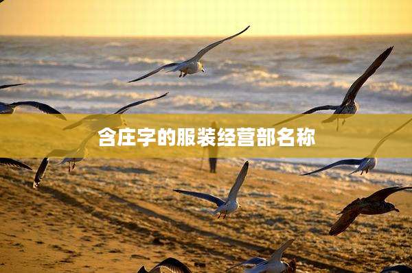 含庄字的服装经营部名称