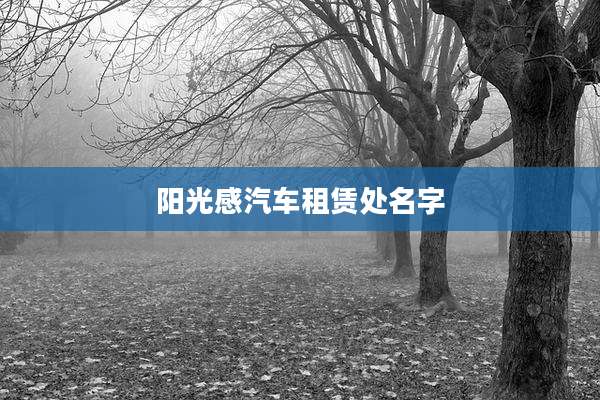 阳光感汽车租赁处名字