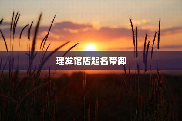 理发馆店起名带御