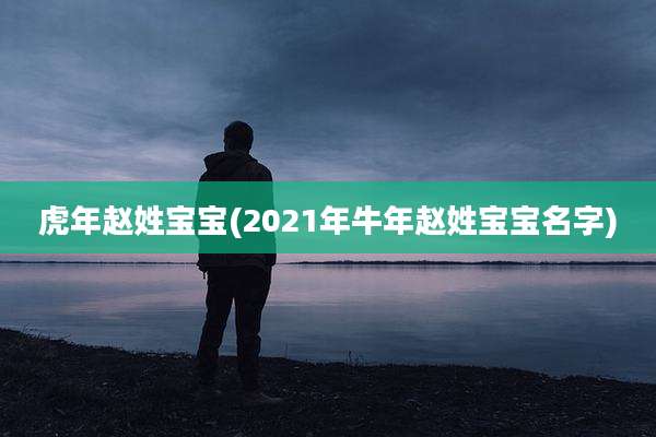 虎年赵姓宝宝(2021年牛年赵姓宝宝名字)