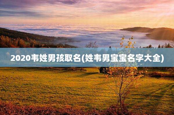 2020韦姓男孩取名(姓韦男宝宝名字大全)