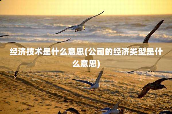 经济技术是什么意思(公司的经济类型是什么意思)