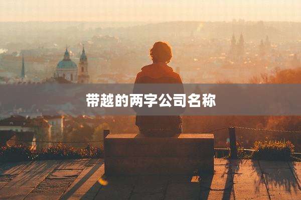 带越的两字公司名称