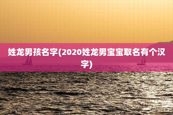 姓龙男孩名字(2020姓龙男宝宝取名有个汉字)