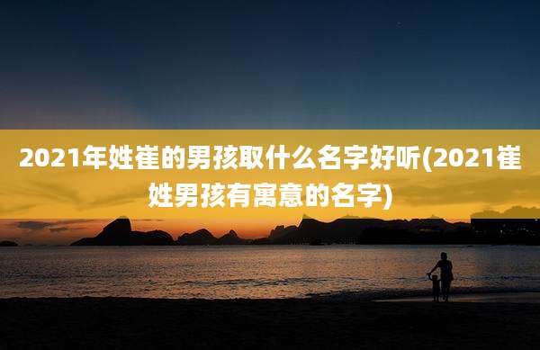 2021年姓崔的男孩取什么名字好听(2021崔姓男孩有寓意的名字)