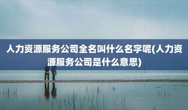 人力资源服务公司全名叫什么名字呢(人力资源服务公司是什么意思)