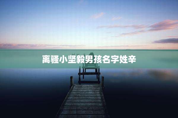 离骚小坚毅男孩名字姓辛