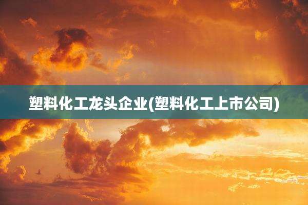 塑料化工龙头企业(塑料化工上市公司)